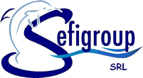 Sefigroup Logo
